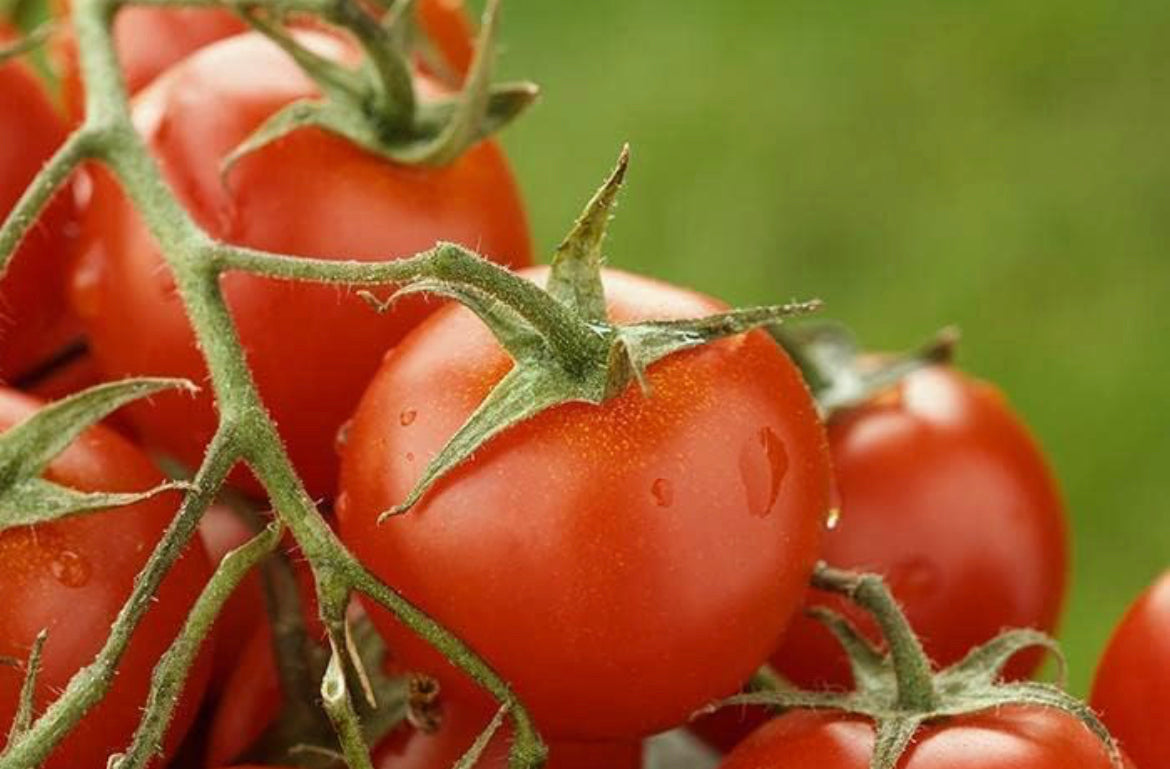 Established in 1915, Kyknos is one of the most loved and recognized brands in Greece. Kyknos is a family-owned company that selects and packs tomatoes grown in the Peloponnese region under strict quality specifications. Only the best hand-picked tomatoes are used for Kyknos products. Kyknos Tomato Paste can be mixed in salads or used to make delicious pasta sauces and dressings!