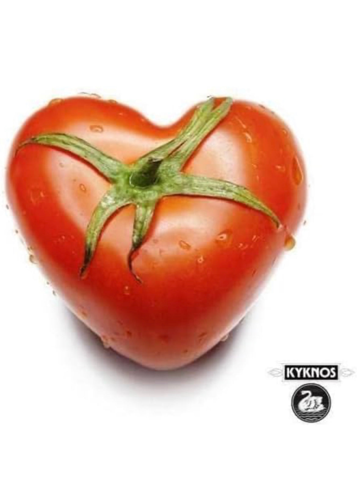 Established in 1915, Kyknos is one of the most loved and recognized brands in Greece. Kyknos is a family-owned company that selects and packs tomatoes grown in the Peloponnese region under strict quality specifications. Only the best hand-picked tomatoes are used for Kyknos products. Kyknos Tomato Paste can be mixed in salads or used to make delicious pasta sauces and dressings!