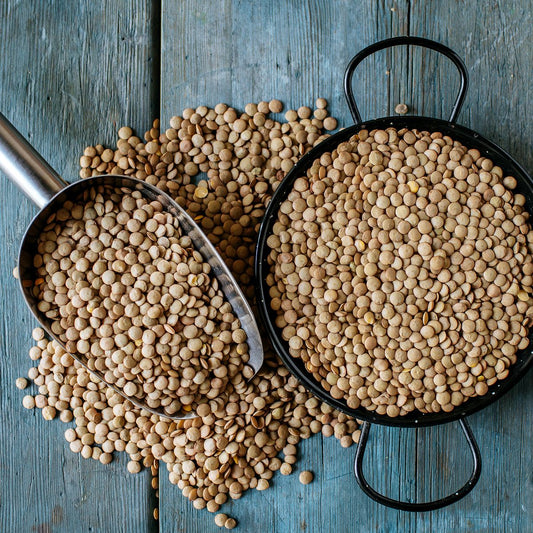 Lentil Tasting notes: Their full taste and rich Mediterranean aroma reflect the purity of the environment they grow in. They are soft and easy to prepare. They are delicious for salads and ideal for soups due to their creamy texture. Try to boil your lentils slowly and at the end add a bit of vinegar along with olive oil, coriander and salt!