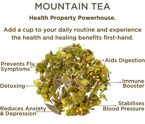 How to Make Greek Mountain Tea